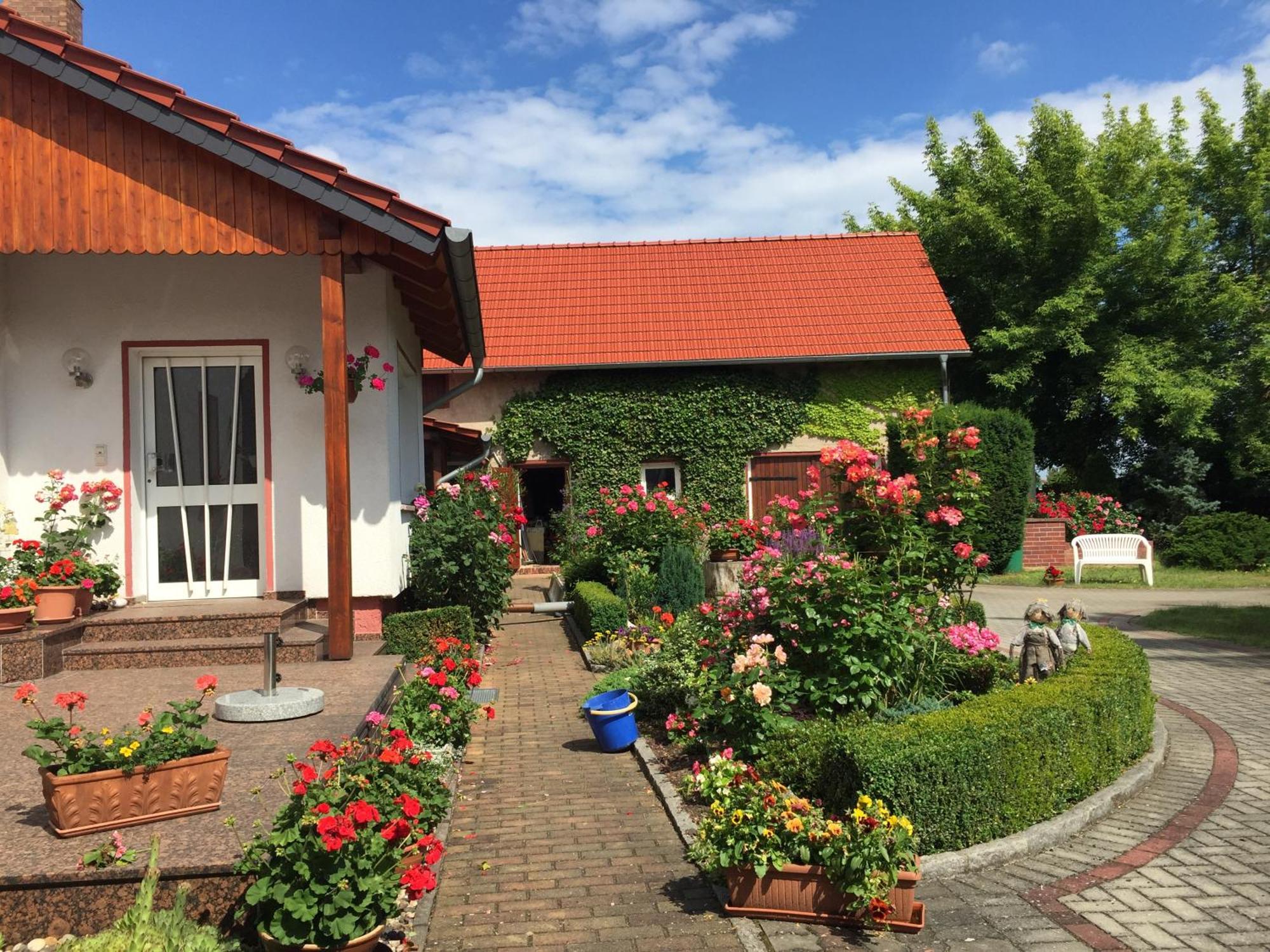 Top-Moderne Ferienwohnung Und Apartments Auf Frueherem Wunderschoenen Bauernhof Im Elbe-Elster-Kreis In Brandenburg Bei Herzberg-Elster, Schoenewalde, Holzdorf Екстер'єр фото