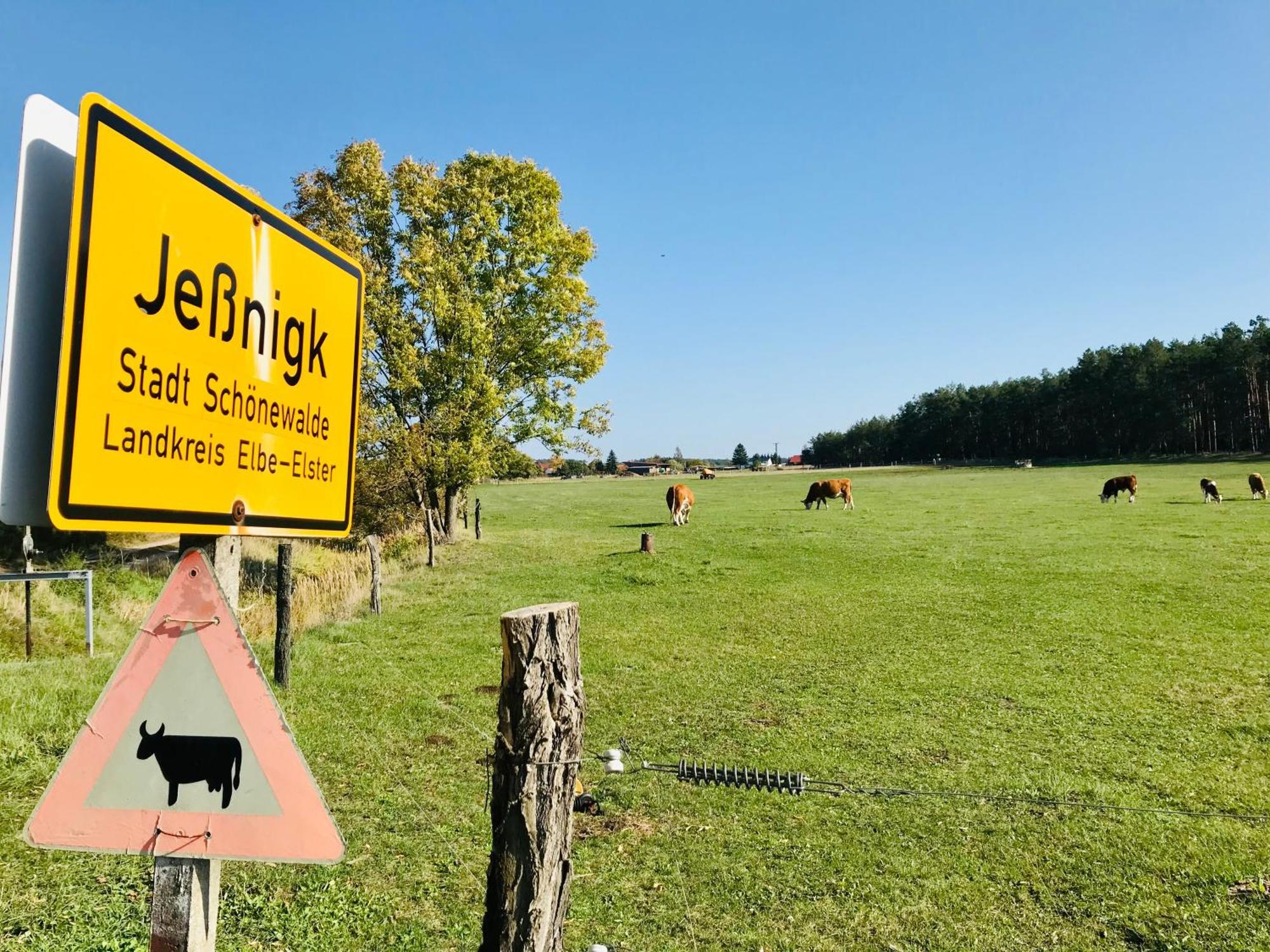 Top-Moderne Ferienwohnung Und Apartments Auf Frueherem Wunderschoenen Bauernhof Im Elbe-Elster-Kreis In Brandenburg Bei Herzberg-Elster, Schoenewalde, Holzdorf Екстер'єр фото