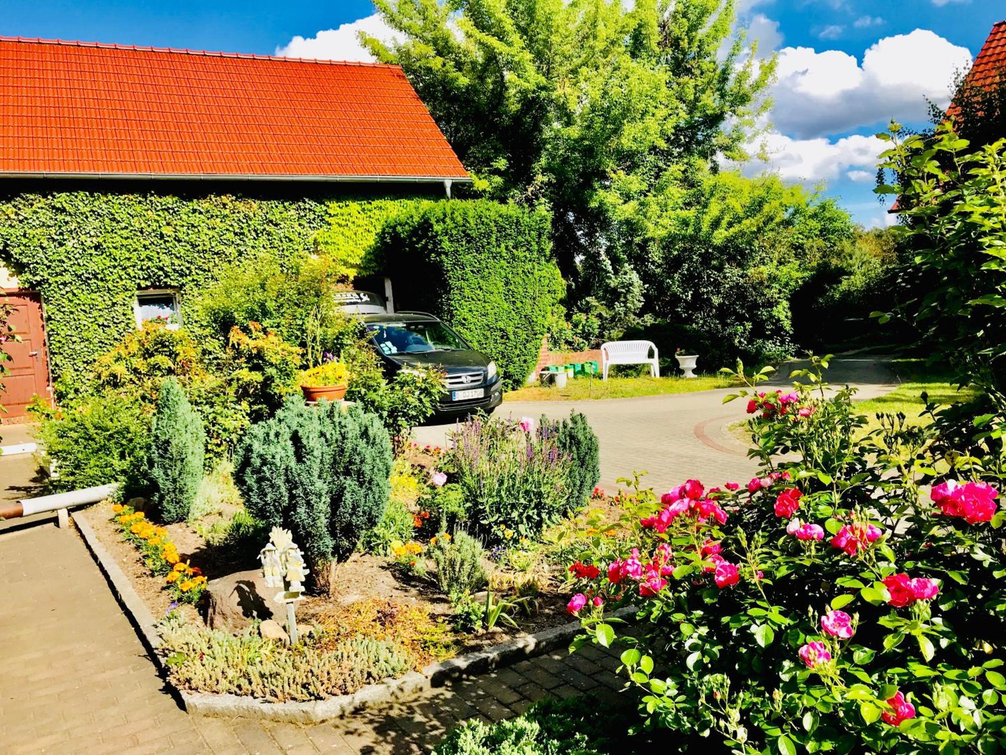 Top-Moderne Ferienwohnung Und Apartments Auf Frueherem Wunderschoenen Bauernhof Im Elbe-Elster-Kreis In Brandenburg Bei Herzberg-Elster, Schoenewalde, Holzdorf Екстер'єр фото